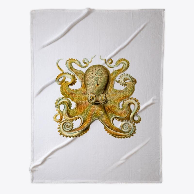 Sprawling Octopus by Ernest Haeckel