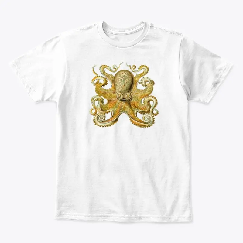 Sprawling Octopus by Ernest Haeckel