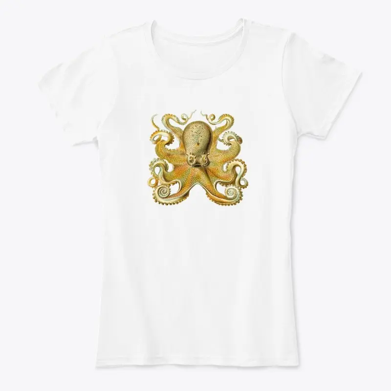 Sprawling Octopus by Ernest Haeckel